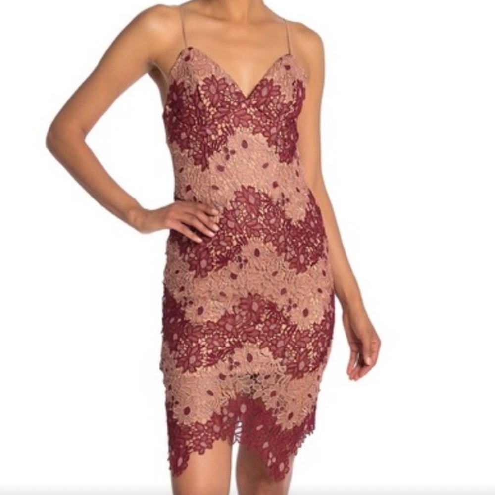 Bardot Lace Dress in Berry and champagne
